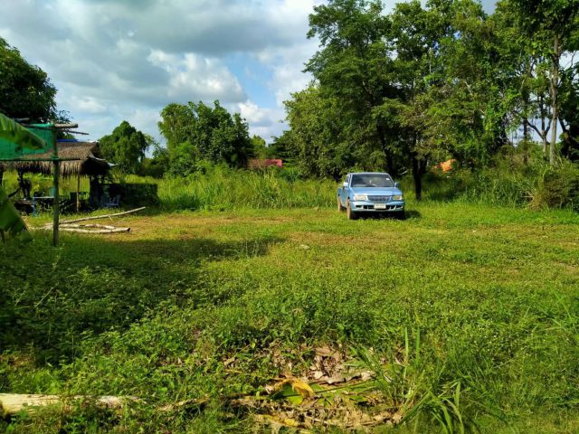ขายที่ดิน ใกล้สนามแข่งรถช้างเซอร์กิต อ.เมืองบุรีรัมย์ เนื้อที่ 1-1-96ไร่