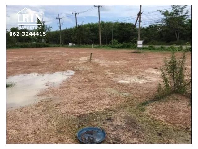 รหัสทรัพย์    AK060221-04 ที่ดิน ติดถนนใหญ่วังหว้า แกลง