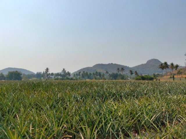 ขายที่ 2 ไร่ วิวภูเขา หัวหิน (ปิดการขาย)​