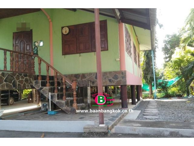 ที่ดินพร้อมบ้านปูนยกสูง1ชั้น ใกล้วัดโคศุภราช เนื้อที่ 1 ไร่ มี 1 ห้องนอน 1 ห้องน้ำ อ.เมือง จ.อ่างทอง