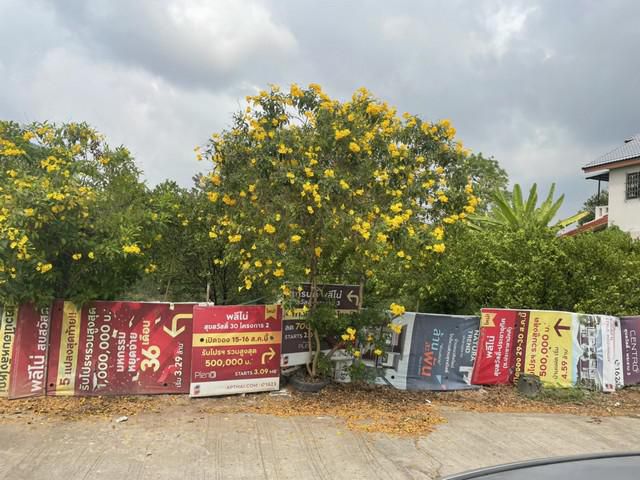 ขายที่ดินเปล่า เนื้อที่ 112 ตร.ว. เขตทุ่งครุ กทม.