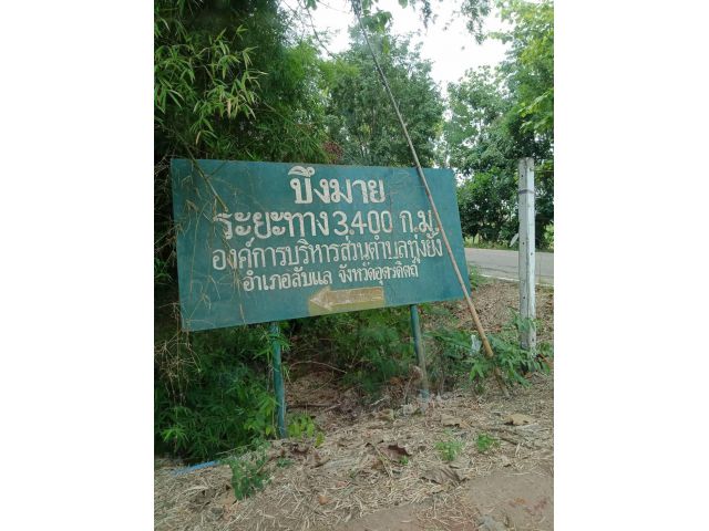 ๊๋๊๋ที่ดินเปล่าเป็นนา103ไร่