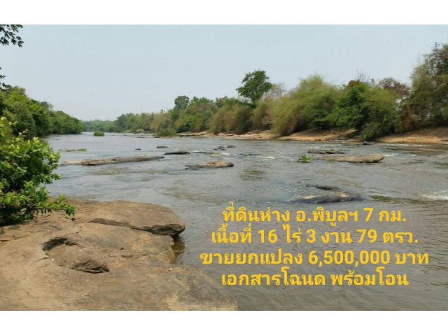 ที่ดินริมน้ำห่างอำเภอพิบูลฯ 7 กม. ติดแก่งหินโด่ เนื้อที่ 16 ไร่ 3 งาน 79 ตรว.ขายยกแปลง 6.5 ล้านบาท เอกสารโฉนด
