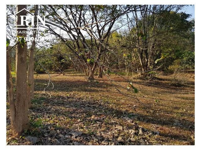 ขายที่ดิน 34 ไร่ พร้อมบ้านพักตากอากาศ  อ.พาน เชียงราย
