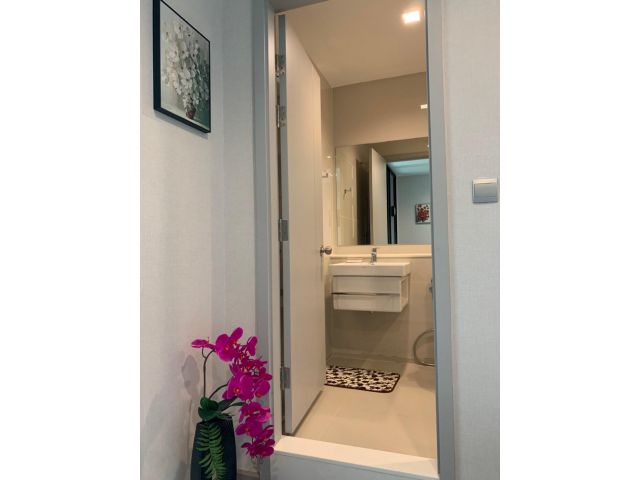 TWR538-CR290  Life Sukhumvit 62 30 sq.m.