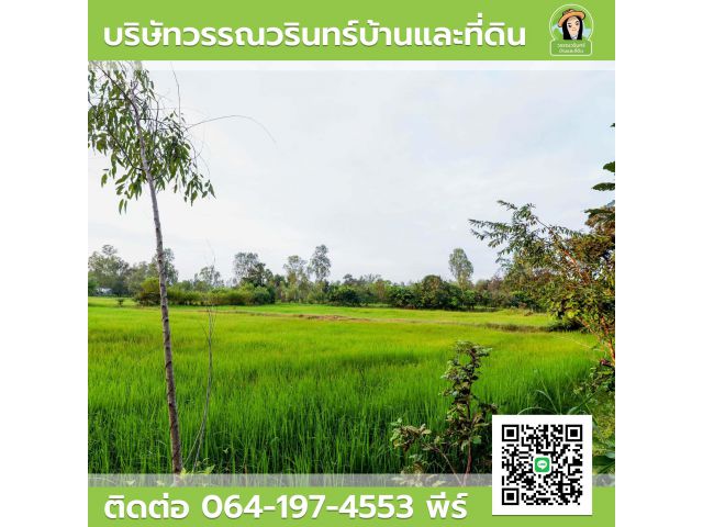 ที่ดิน 10 ไร่ ใกล้ถนนแจ้งสนิท ไร่ละ 600,000 บาท