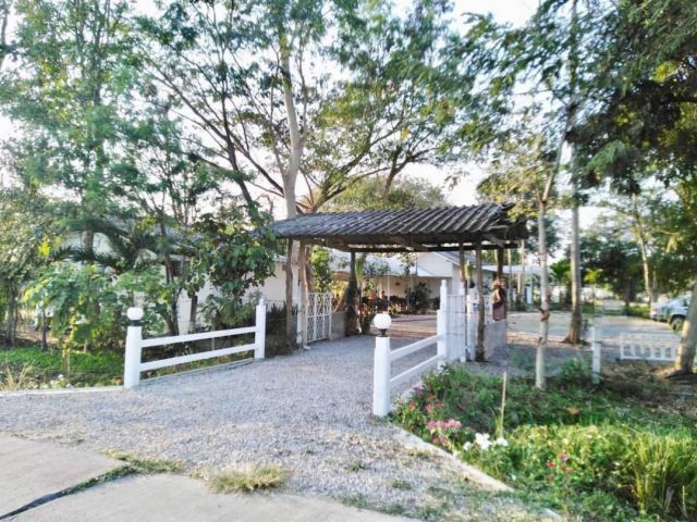 ขายบ้านแม่ริม ขายบ้านสวนสไตล์รีสอร์ท วิวภูเขาและทุ่งนาแม่ริม เชียงใหม่ เนื้อที่ 1-1-59 ไร่ (559 ตารางวา) ขายราคา 6,700,0