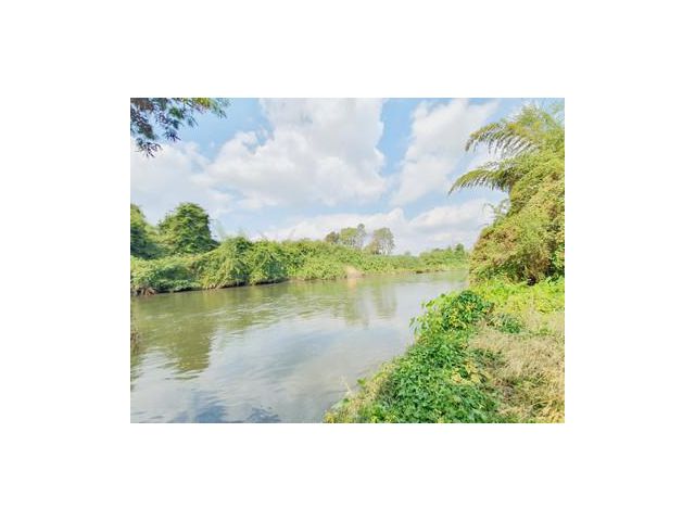 ขายที่ดินติดแม่น้ำแควใหญ่  กาญจนบุรี