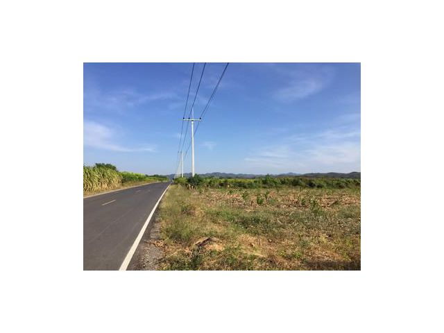 ขายที่ดินถนนลาดยาง วังม่วง สระบุรี