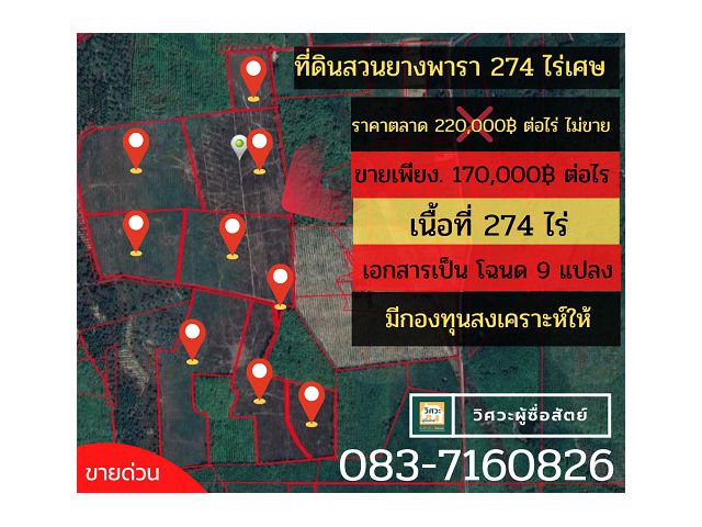 ที่ดินพร้อมสวนยางสงขลา 274 ไร่ละ 170,000 พร้อมบ้านคนงาน