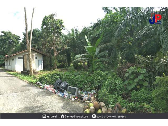 ขาย ที่ดินพร้อมบ้าน เกือบไร่ ซ.ชนเกษม43 สุราษฎร์