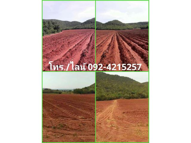 ขายที่ดินสวย (ภบท.5) อ.จอมบึง จ.ราชบุรี