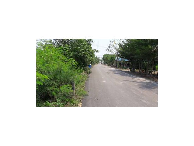 ขายที่ดินติดถนนลาดยาง บางคล้า ฉะเชิงเทรา