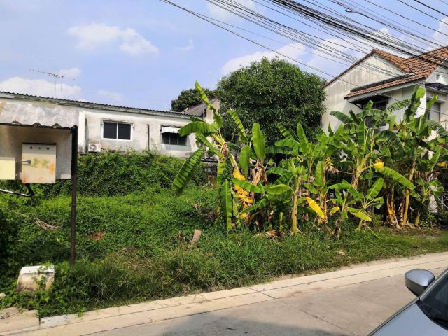 ขายที่ดินเปล่า 158 ตร.ว. หมู่บ้าน พูนสินไพรเวซี่ ถนนเคหะร่มเกล้า 39 แยก 4 ลาดกระบัง - 05569