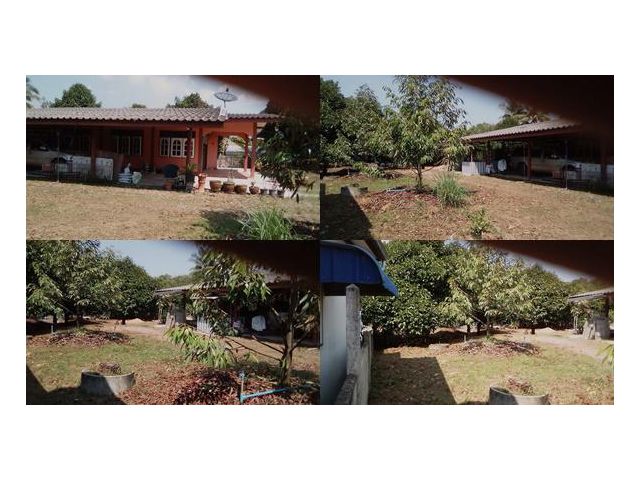 เสนอขายบ้านพร้อมสวนมังคุดและทุเรียน ติดถนนสายญาณวิโรจน์ เนื้อที่ 1 ไร่ 2 งานกว่าๆ คมบาง อำเภอเมือง จันทบุรี