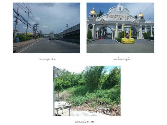 ขายที่ดิน :  เอเวอร์กรีน ซิตี้  กรุงเทพมหานคร