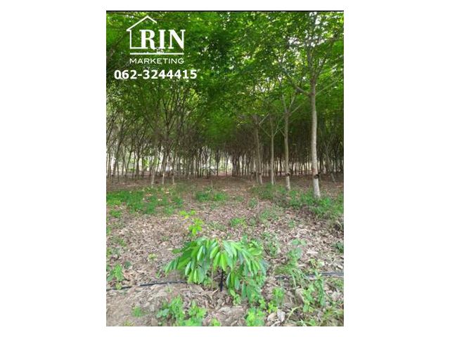 รหัสทรัพย์   AK170221-01 บ้านพร้อมที่ดินสวนยาง บางบุตร