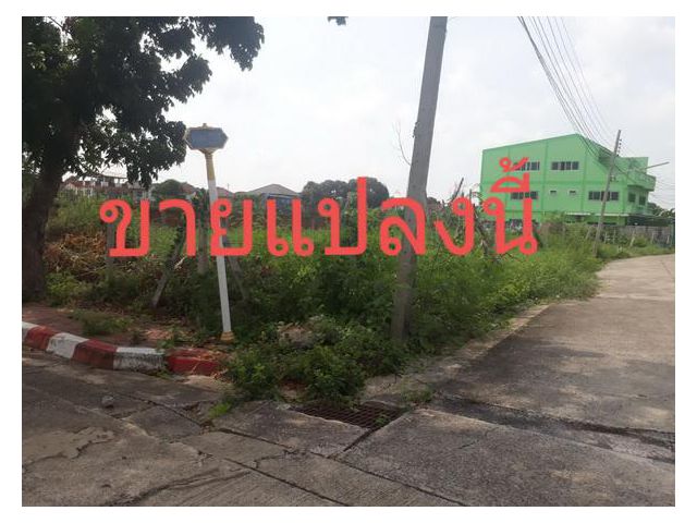 ขายที่ดินเปล่าแปลงมุม (ขายเท่าราคาประเมิน) หมู่บ้านชลลดา บางบัวทอง เนื้อที่ 233 ตารางวา