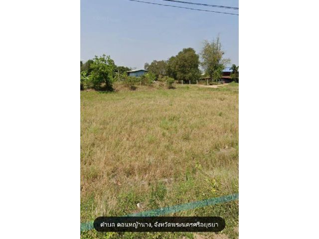 ขายที่ดินใกล้วัดตะโก 2งาน เหมา5.5แสน ต่อรองได้ต.ดอนหญ้านาง อ.ภาชี จ.อยุธยา