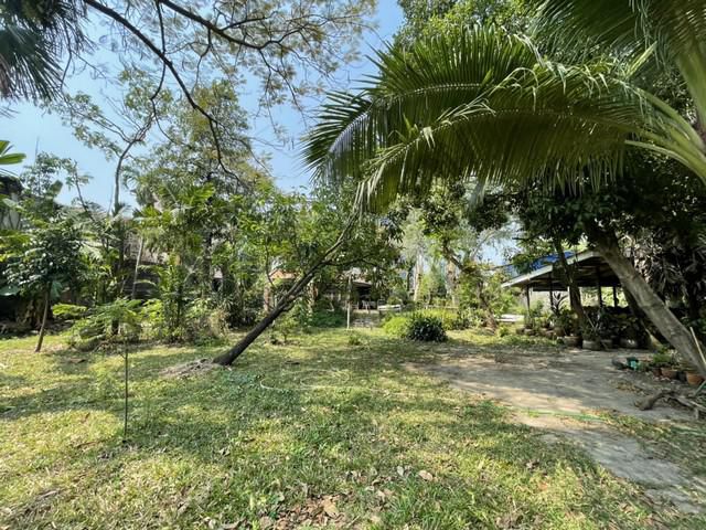 ขายที่ดิน แปลงสวย สุขุมวิท66/1 ทำเลดี ใกล้ BTS อุดมสุข เนื้อที่ 1ไร่ 3งาน 6ตร.ว. ราคาพิเศษสุด 120 ล้านบาท