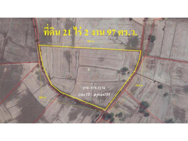 P238 ขายที่ดิน 21 ไร่ 2 งาน 97 ตร.ว. อำเภอหนองมะโมง จ.ชัยนาท ผังสีเขียว