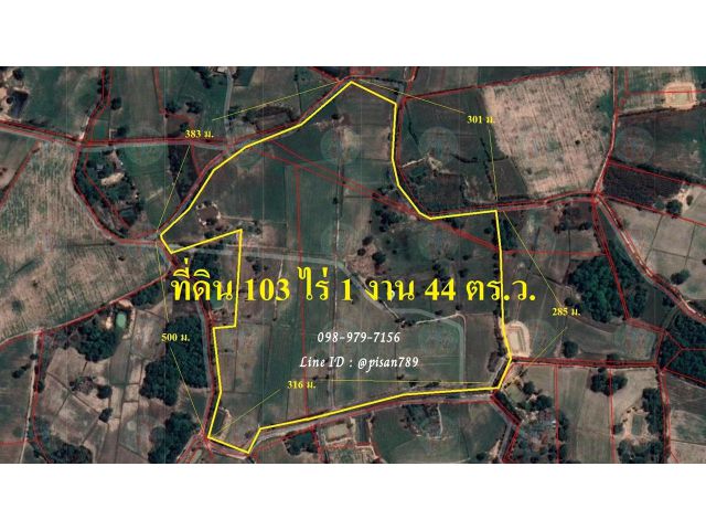 P239 ขายที่ดิน 103 ไร่ 1 งาน 44 ตร.ว. หนองมะโมง ชัยนาท พื้นที่สีเขียว เหมาะทำฟาร์ม หรือ โคกหนองนา