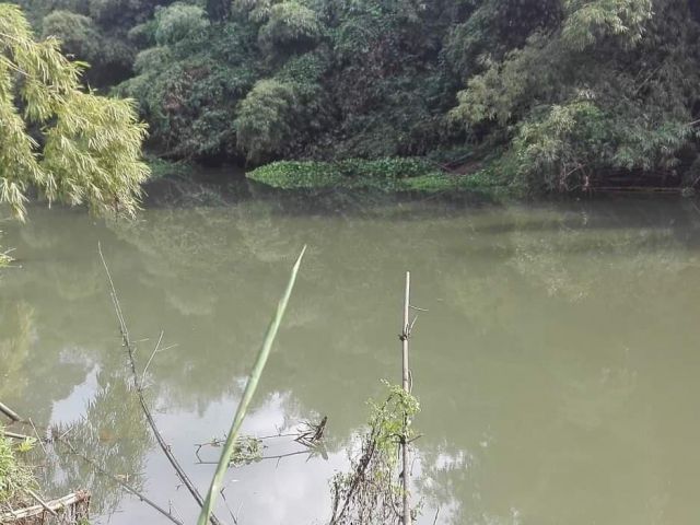 สวนผลไม้ ติดแม่น้ำจันทบุรี 8-1-12 ไร่ ถนนลาดยาง วิวเขา ใกล้ตัวอ.เขาคิชฌกูฏ ต.ชากไทย จันทบุรี เอกสารโฉนด