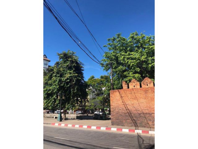 ตึกแถว ใกล้วัดเจดีย์หลวง ,วัดพระสิงห์  ติดถนนคนเดิน อ.เมือง เชียงใหม่