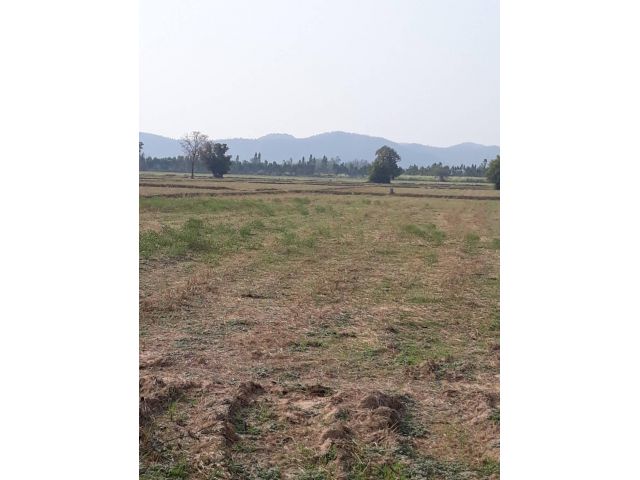 ขายถูก!! ที่ิดินวิวเขา สุพรรณอู่ทอง บรรยากาศดีมาก เหมาะสร้างบ้านสวนยามเกษียณ