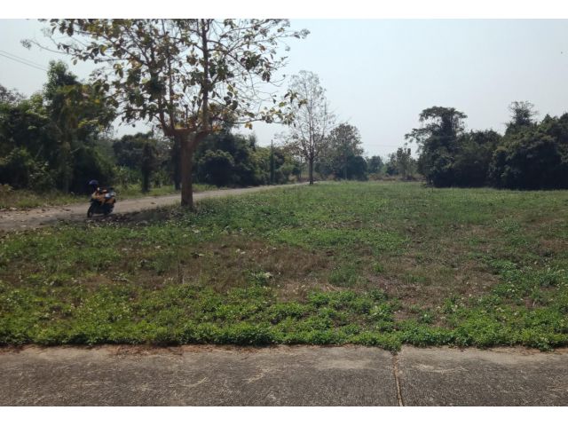 ที่ดินเปล่าในโครงการ ป่าป้อง