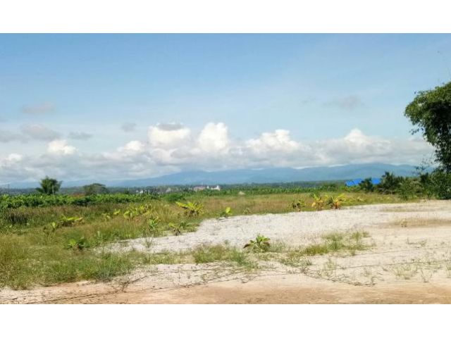 ขายที่ดิน อ.แม่แตง 4-3-96 ตร.วา