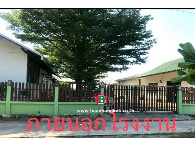 กิจการโรงงานพร้อมสิ่งปลูกสร้าง ใกล้วัดพระธาตุศรีสันกำแพง เนื้อที่ 184 ตรว. ถนนห้วยทราย อ.สันกำแพง จ.เชียงใหม่