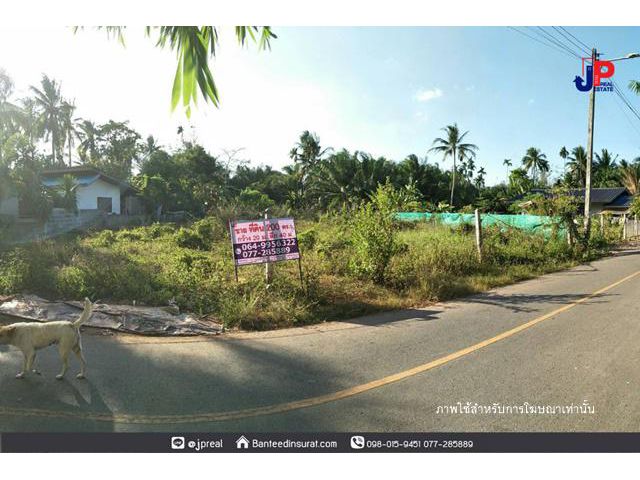 ขาย ที่ดินถมแล้ว 200วา ชนเกษม43 สุราษฎร์ธานี