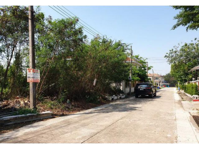 ขาย ที่ดิน ในหมู่บ้านรวมเก้า พุทธมณฑลสาย 2 ถนนเพชรเกษม เขตภาษีเจริญ กรุงเทพมหานคร