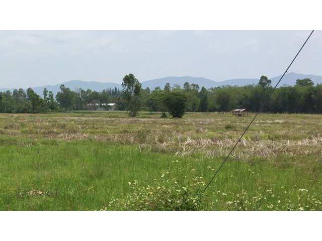 ที่ดินเปล่า 17-0-40 ไร่ อ.จูน จ.พะเยา