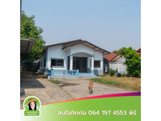บ้านมือสองเนื้อที่เยอะ 166 ตร.ว. ราคา 2 ล้านบาท ้บานดอนแคร์-ขามใหญ่