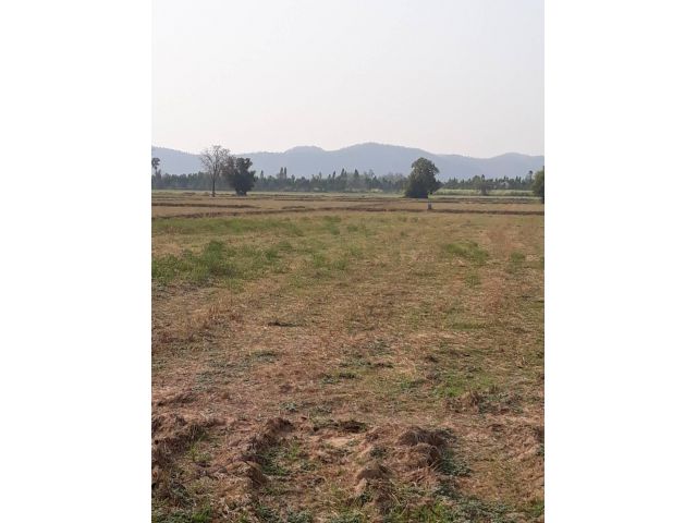ขายที่ดินสุพรรณ อู่ทอง 1 ไร่  **วิวเขา บรรยากาศดีเหมาะสร้างบ้านสวนยามเกษียณ