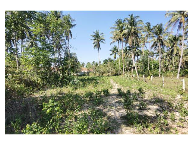 ขายที่ดินใกล้ทะเล หาดสวนหลวง 66ตรว อำเภอบางสะพาน จังหวัดประจวบคีรีขันธ์ ที่ดินกว้าง10*26 เมตร ถนนหน้าที่ดินกว้าง 6เมตร