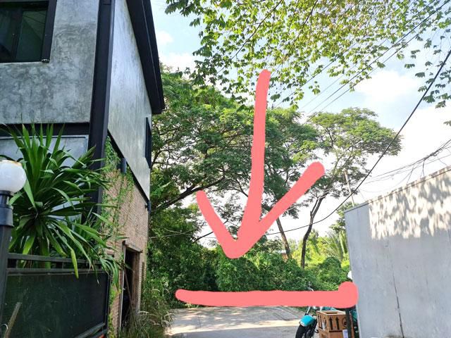 ขายที่ดินบางกะเจ้าทำเลแหล่งท่องเที่ยว เหมาะทำโฮมสเตย์ ร้านอาหาร   ติดเลนจักรยาน ใกล้แม่น้ำเจ้าพระยา