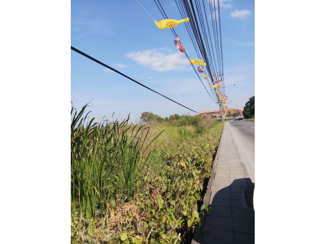 PM01L01 ขายที่ดินเปล่าลาดกระบังพื้นที่สีเขียว 2 แปลงติดกัน