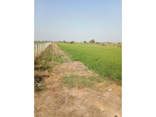 ขายที่ดินคลอง 7 หนองเสือ 3 ล็อคสุดท้าย