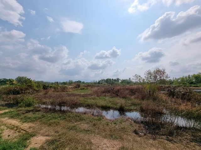ที่ดิน 2-3-50 ไร่ ขาย 6 ล้าน ใกล้เมือง ห่างบิ๊กซี 4.6 กม แถววัดเกาะลอย ต.เกาะขวาง อ.เมือง จันทบุรี เอกสารโฉนด ต่อได้