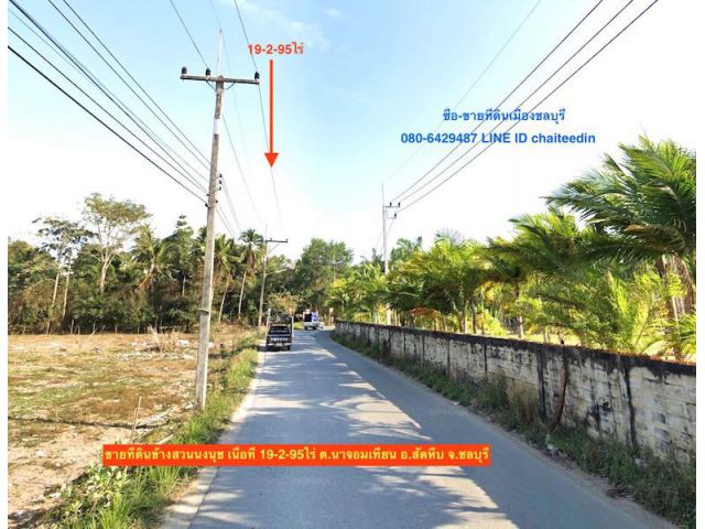 @@@ขายที่ดิน 19-2-95ไร่ ข้างสวนนงนุช สัตหีบ ชลบุรี@@