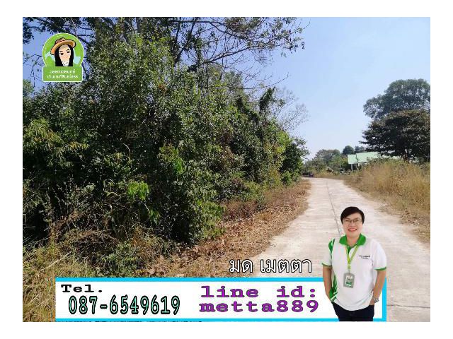 ที่ดินแปลงสวยในอ.มหาชนะชัย