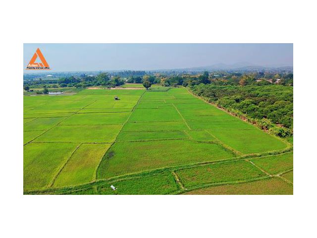 ขายที่ดิน ตำบลน้ำแพร่ อำเภอหางดง จังหวัดเชียงใหม่
