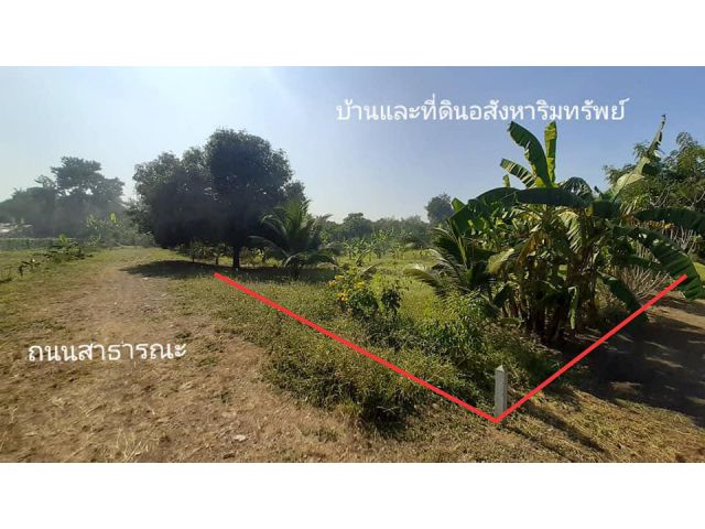ขายที่ดินใกล้ตลาดลาดหญ้า 126 ตร.ว. โฉนด 5 แสนเท่านั้น!!
