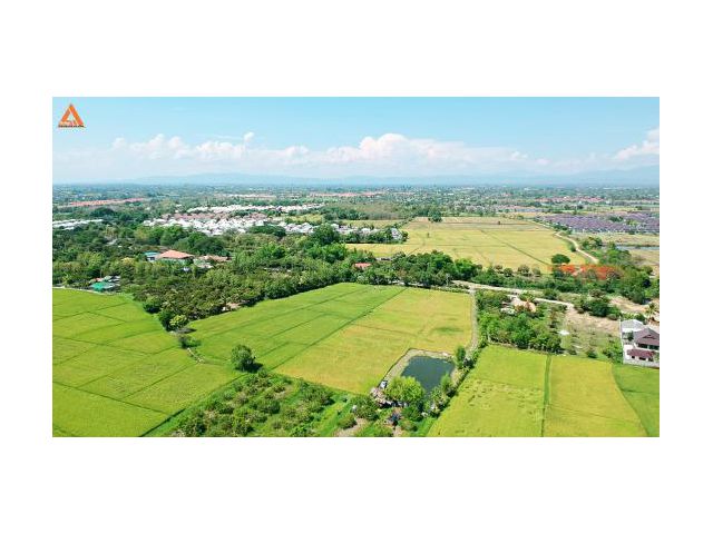 ขายที่นา ตำบลป่าบง อำเภอสารภี สันกำแพงสายใหม่