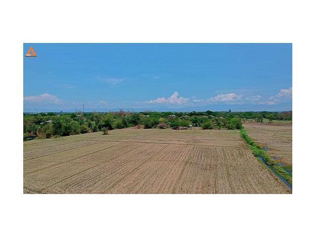 ขายที่ดินสันกำแพงสายเก่า ผังเมืองสีเหลือง ตำบลสันกำแพง อำเภอสันกำแพง เชียงใหม่