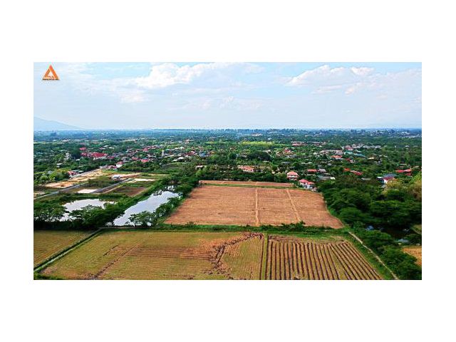 ขายที่ดิน ตำบลหนองแฝก อำเภอสารภี จังหวัดเชียงใหม่