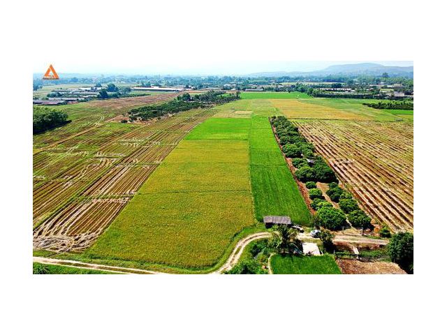 ขายที่นา ตำบลแม่แฝก อำเภอสันทราย จังหวัดเชียงใหม่ วิวพระธาตุดอยจอมกิตติ